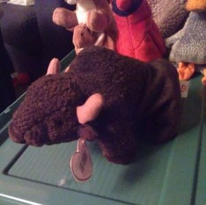Roam buffalo beanie baby